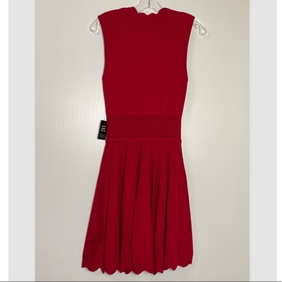 NWT Express Sleeveless Fit & Flare Sweater Tank Dress Pleat Look Red Wine Sm - Picture 4 of 4